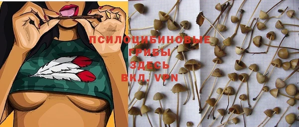 стафф Надым
