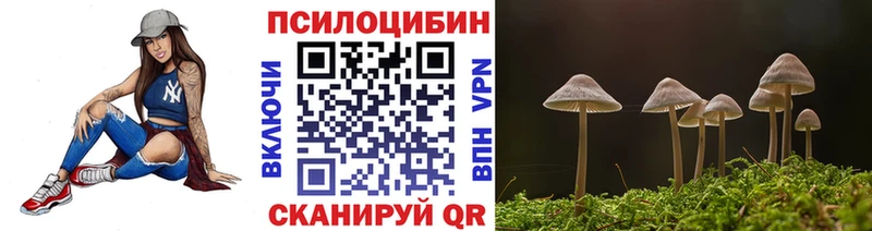 Купить где  Моздок  Галлюциногенные грибы мицелий 